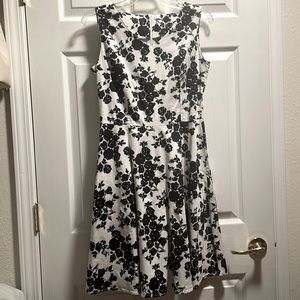 Cute and Classy Black and White Dress